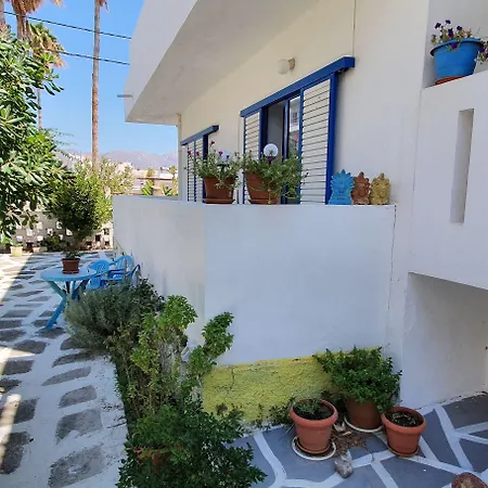 καλοξένια * Kardamena (Kos)